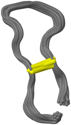 Image NMR Structure - all models