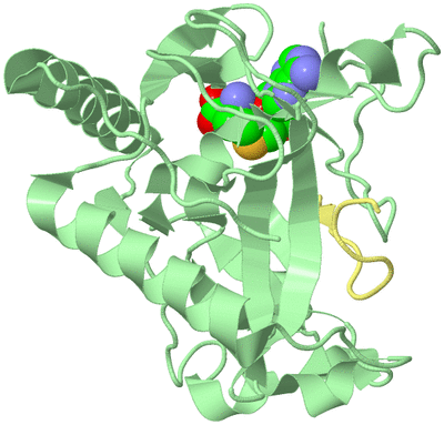 Image Biological Unit 2