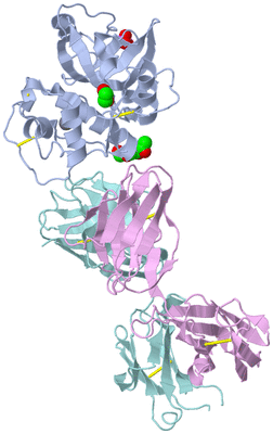 Image Biological Unit 1