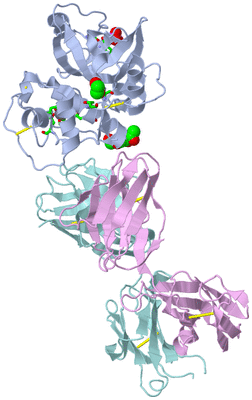 Image Biol. Unit 1 - sites