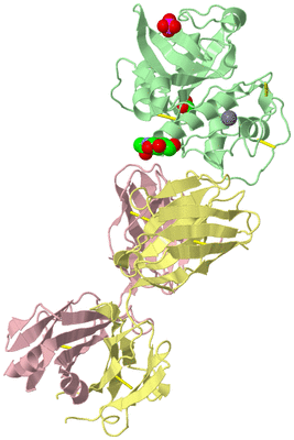 Image Biological Unit 2