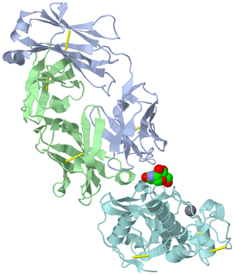 Image Biological Unit 1