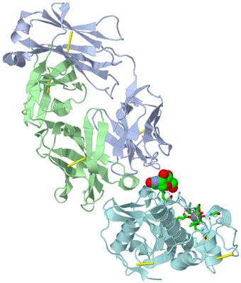 Image Biol. Unit 1 - sites