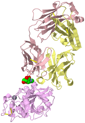 Image Biological Unit 2