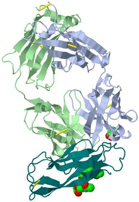 Image Biological Unit 1