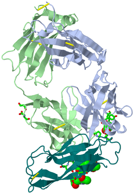 Image Biol. Unit 1 - sites