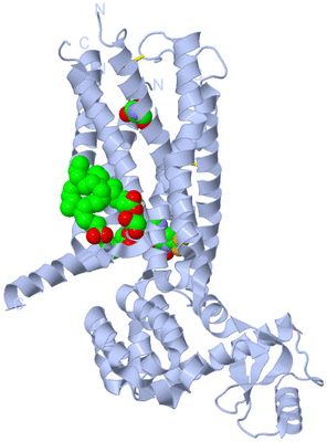 Image Biological Unit 1