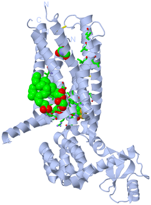 Image Biol. Unit 1 - sites