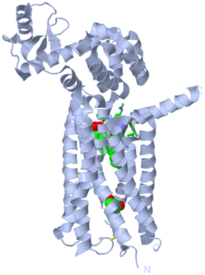 Image Biol. Unit 1 - sites