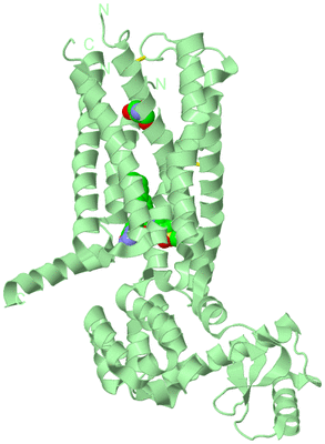 Image Biological Unit 2