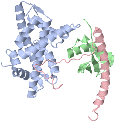 Image NMR Structure - model 1