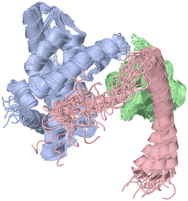 Image NMR Structure - all models