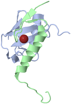 Image NMR Structure - model 1