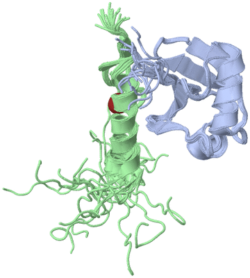 Image NMR Structure - all models