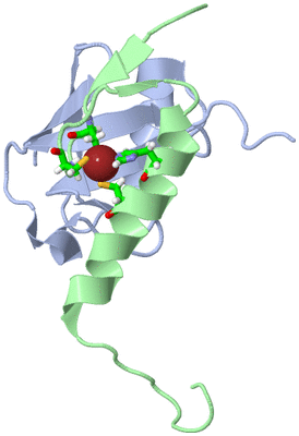 Image NMR Structure - model 1, sites