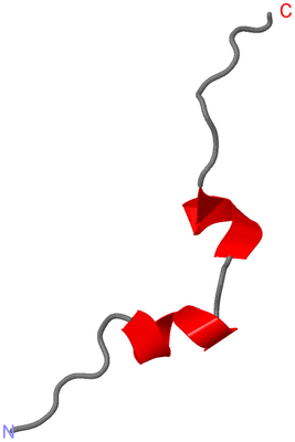 Image NMR Structure - model 1