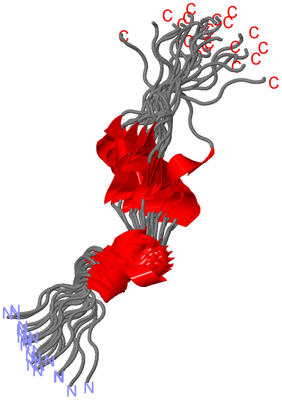 Image NMR Structure - all models