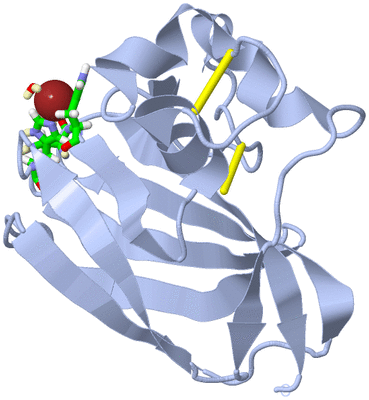 Image Biol. Unit 1 - sites