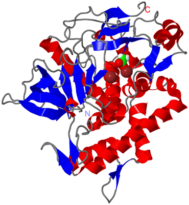 Image Asym./Biol. Unit