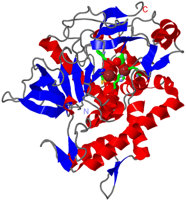 Image Asym./Biol. Unit - sites