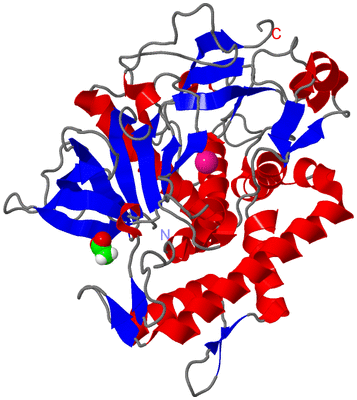 Image Asym./Biol. Unit