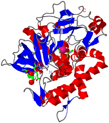 Image Asym./Biol. Unit - sites