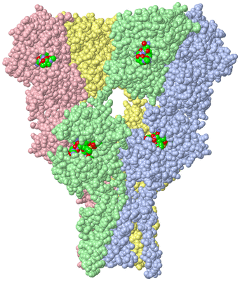 Image Asym./Biol. Unit - sites