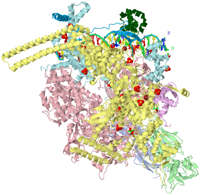 Image Asym./Biol. Unit