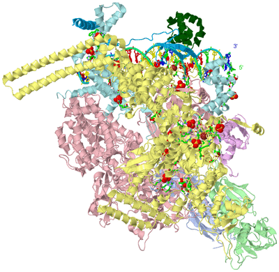 Image Asym./Biol. Unit - sites