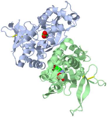 Image Asym./Biol. Unit