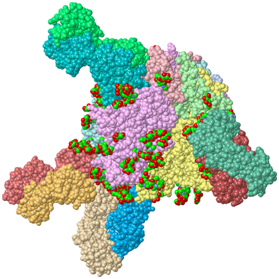 Image Asym./Biol. Unit