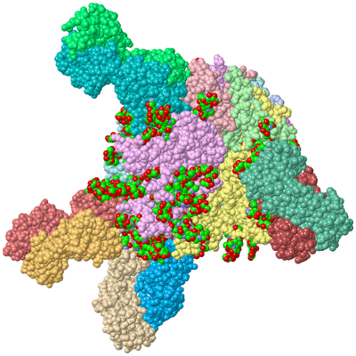 Image Asym./Biol. Unit - sites