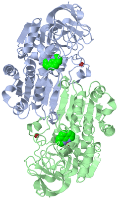 Image Asym./Biol. Unit