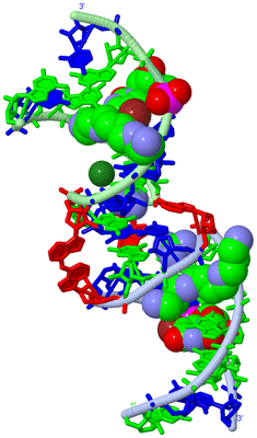 Image Biological Unit 1