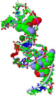 Image Biol. Unit 1 - sites