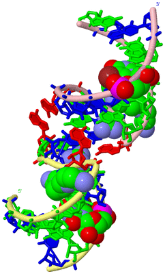 Image Biological Unit 2