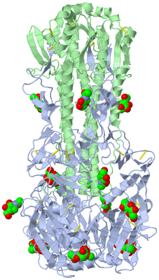 Image Biological Unit 1