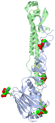 Image Asym. Unit - sites