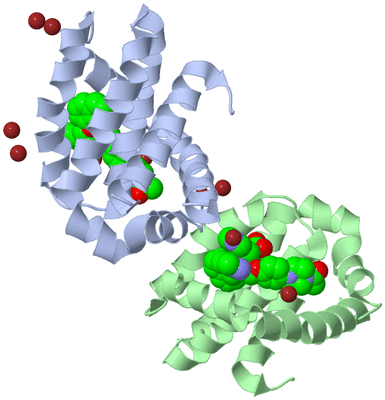 Image Asym./Biol. Unit