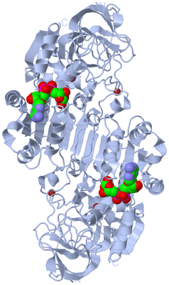 Image Biological Unit 1