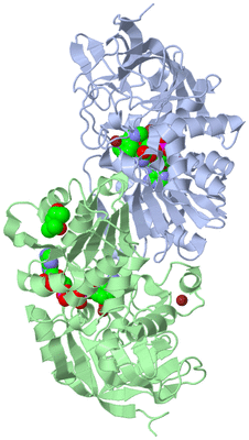 Image Biological Unit 1