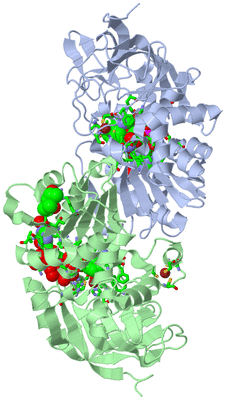 Image Biol. Unit 1 - sites