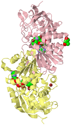 Image Biological Unit 2