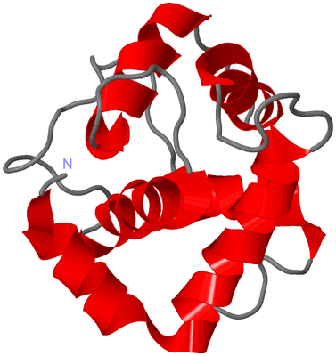 Image NMR Structure - model 1