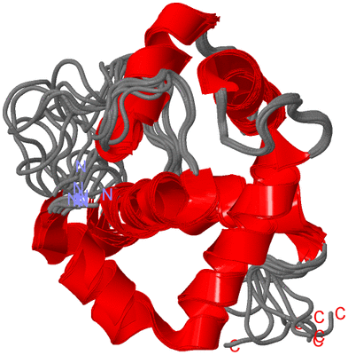 Image NMR Structure - all models