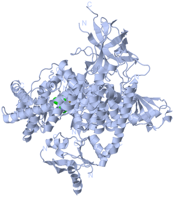 Image Biological Unit 1