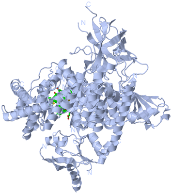 Image Biol. Unit 1 - sites