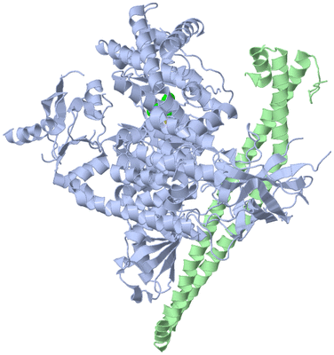 Image Biological Unit 3