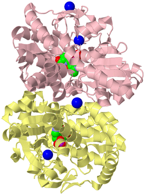 Image Biological Unit 2