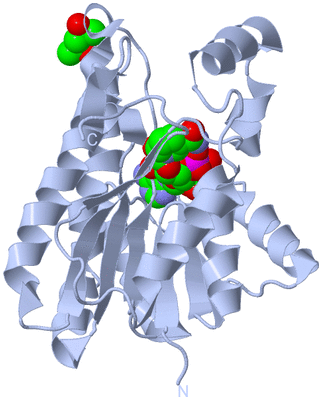 Image Biological Unit 1